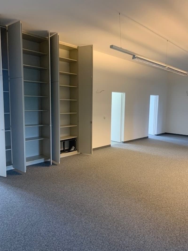 empty room, carpet floor, large closet, two doors