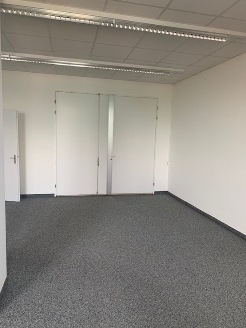 Large empty room with white walls, ceiling, carpeted floor, double doors.