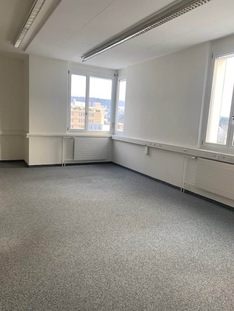 Empty room with gray carpet, white walls, three windows, ceiling lamps, radiators