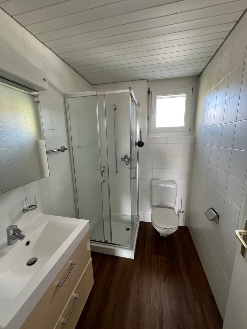 Grosszügige 4.5-Zimmer-Dachwohnung mit Riesenterrasse (13)