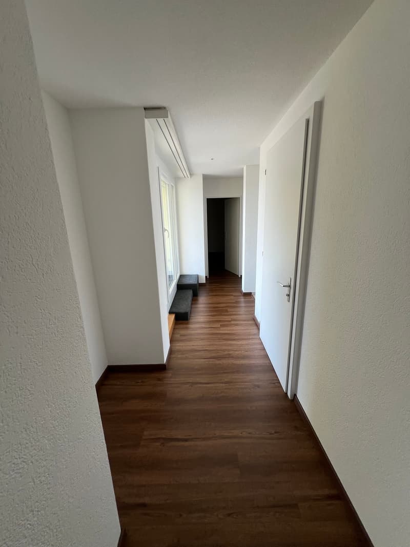 Grosszügige 4.5-Zimmer-Dachwohnung mit Riesenterrasse (8)