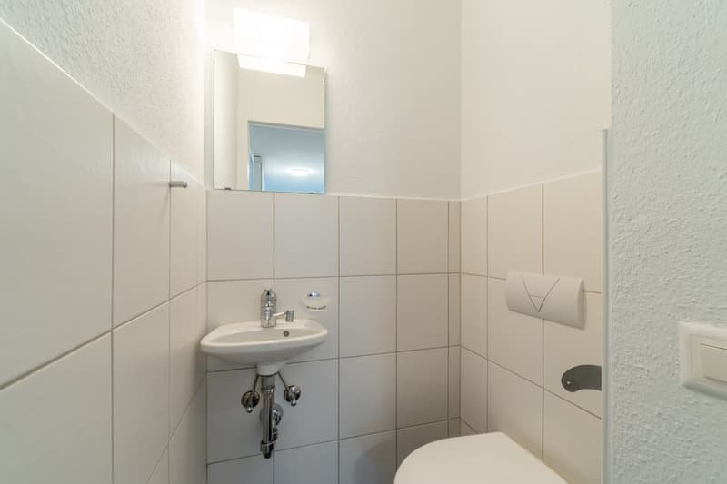 Grosse helle Wohnung an ruhiger Lage (9)