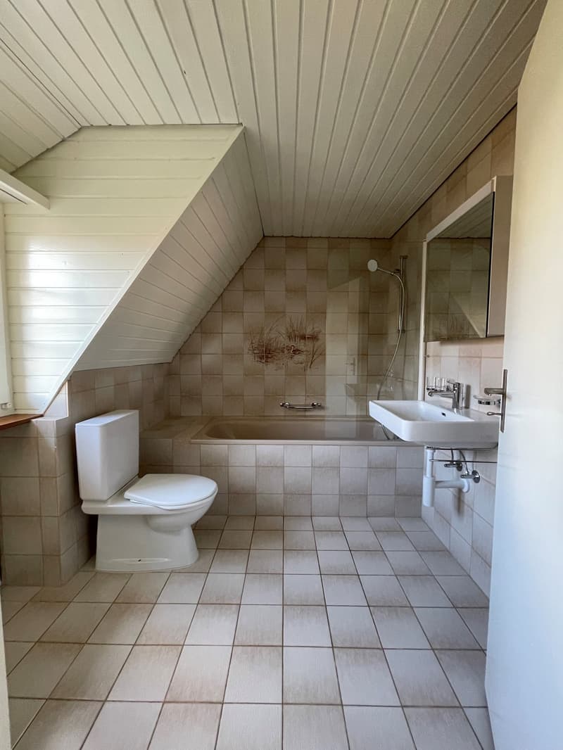 Eine Wohnung zum wohlfühlen..... (5)