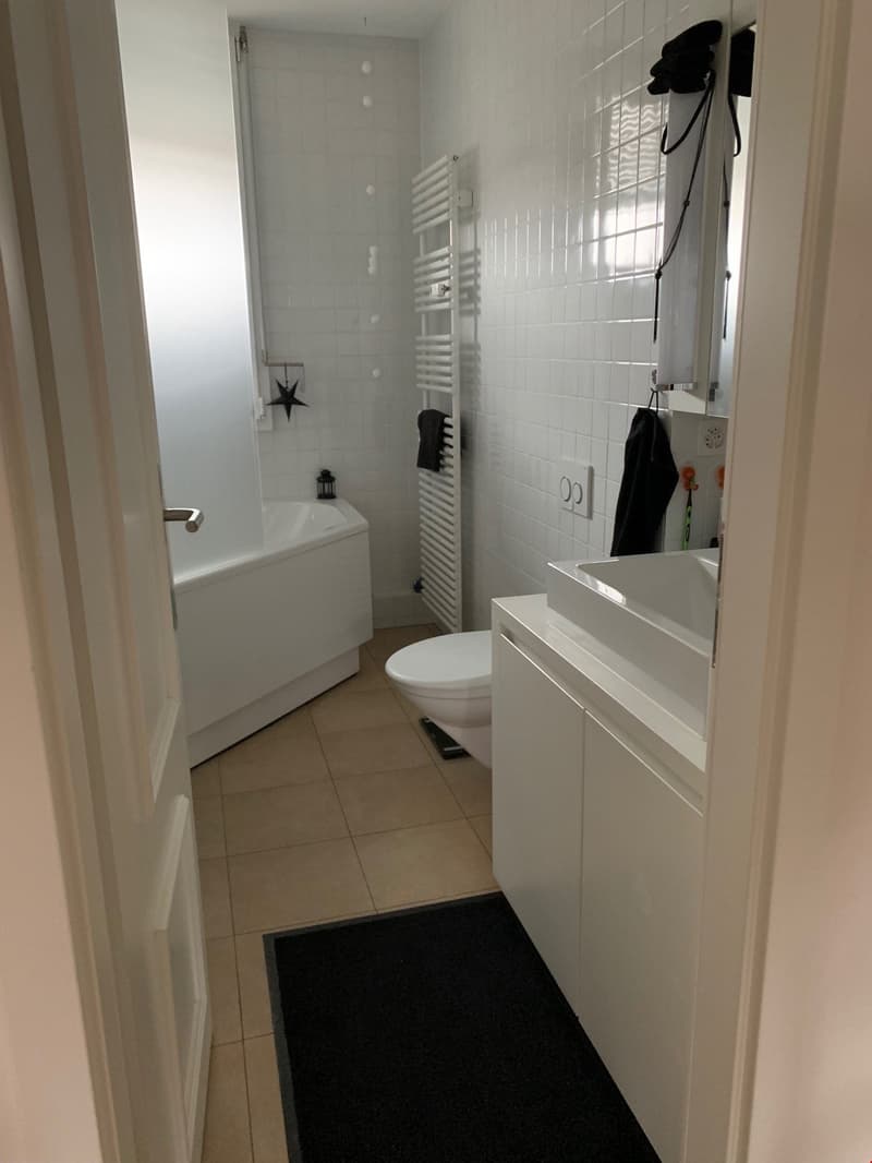 Wunderschöne 2-Zimmer-Dachwohnung (5)