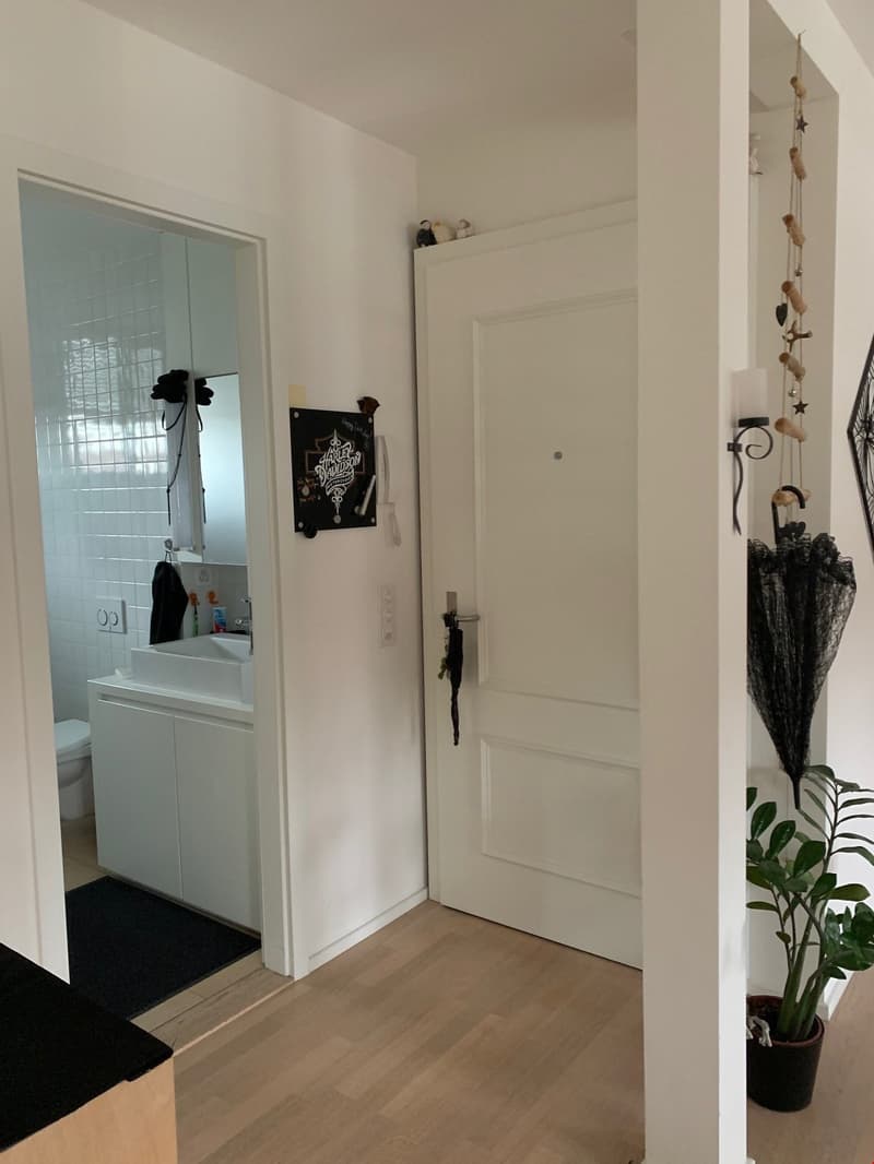 Wunderschöne 2-Zimmer-Dachwohnung (8)