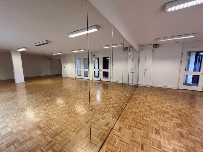 Scuola di danza / Sala prove / Fitness / Fisio (3)