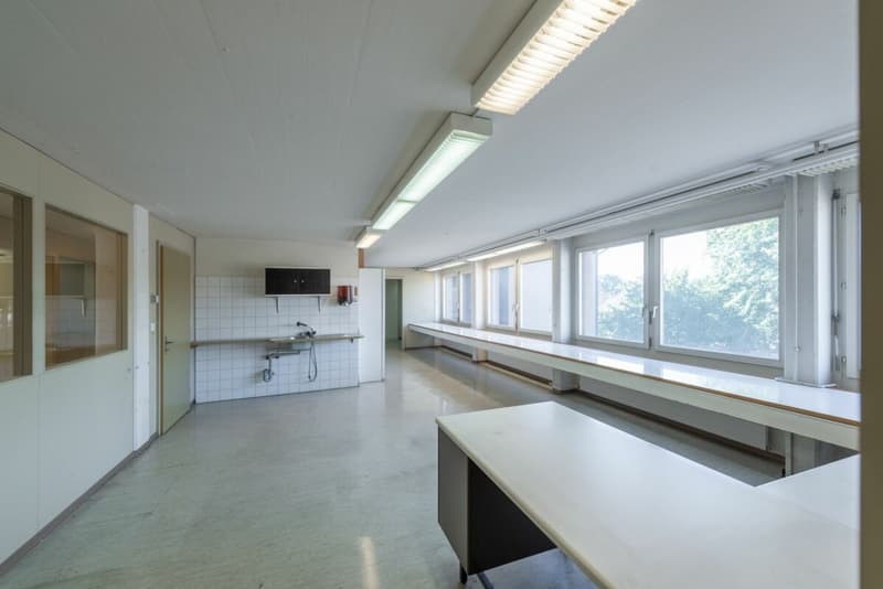 Commercial/Office Space for Rent (13)