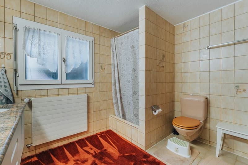 Maison multifamiliale à 3 parties avec de nombreuses pièces annexes + garages (6)