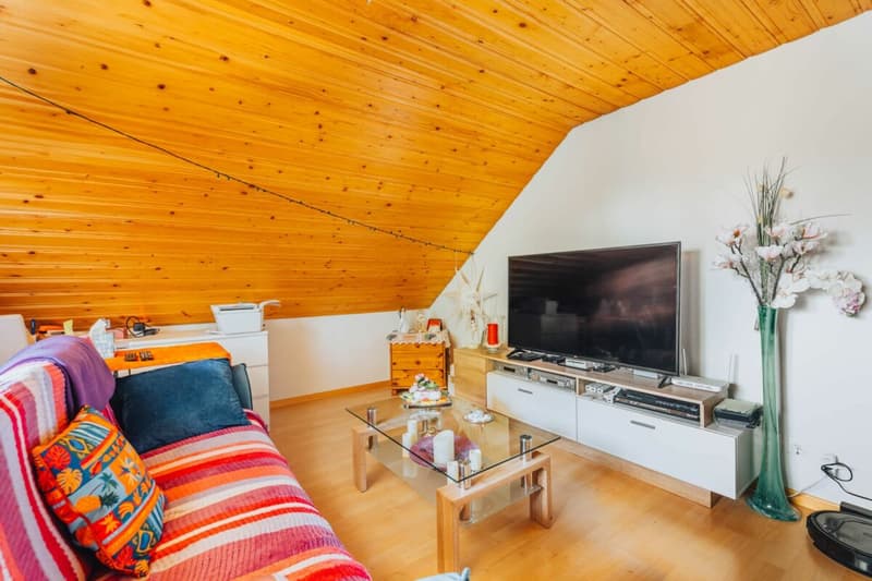 Maison multifamiliale à 3 parties avec de nombreuses pièces annexes + garages (9)