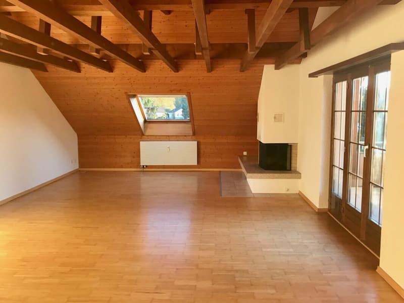 Accogliente appartamento mansardato di 4,5 locali (4)