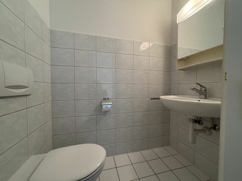 4 1/2-LOCALI-APPARTAMENTO-VECCHIO-EDIFICIO (9)