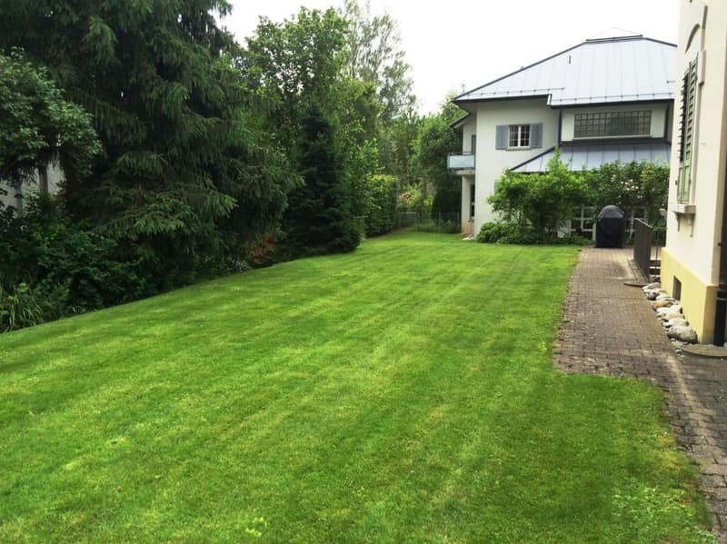 Garten2