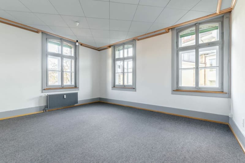Appartement exceptionnel de 5,5 pièces avec annexe de 2 pièces (7)