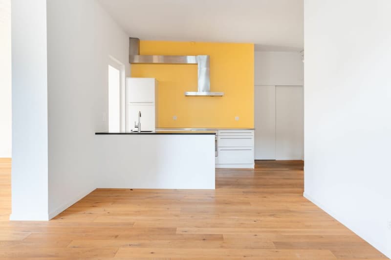 Appartement exceptionnel de 5,5 pièces avec annexe de 2 pièces (3)