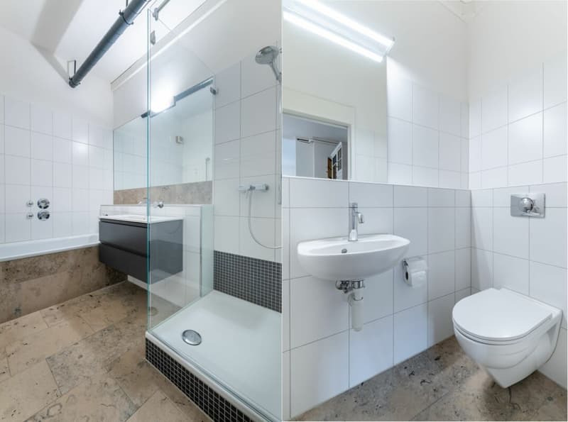 Appartement exceptionnel de 5,5 pièces avec annexe de 2 pièces (10)