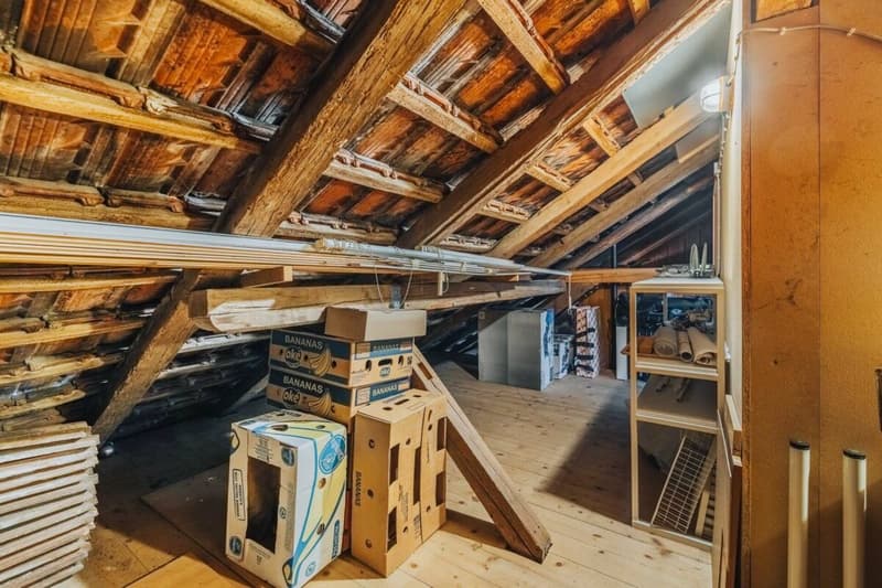 Habitation multigénérationnelle dans deux unités avec beaucoup d'espace (283m2) (26)