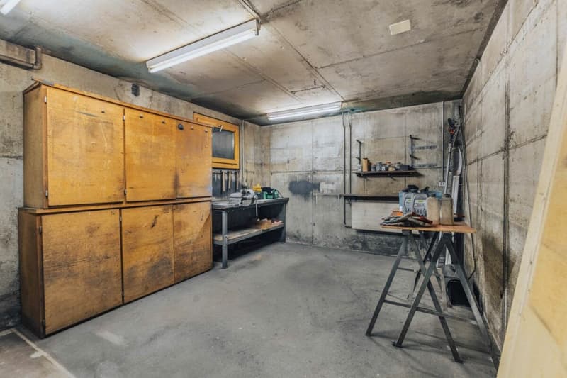 Habitation multigénérationnelle dans deux unités avec beaucoup d'espace (283m2) (25)