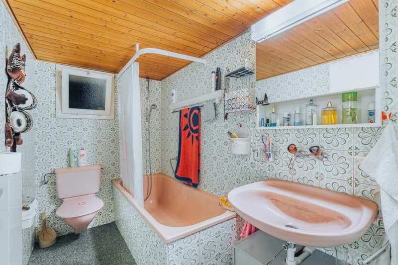 Habitation multigénérationnelle dans deux unités avec beaucoup d'espace (283m2) (35)