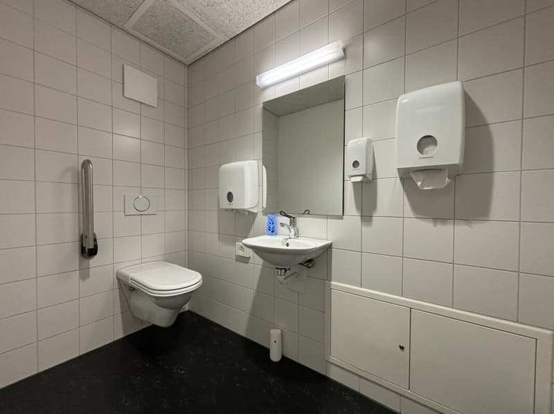 Gewerbefläche in Langenthal (11)