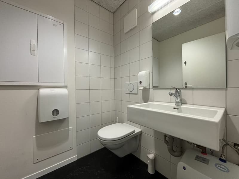 Gewerbefläche in Langenthal (12)