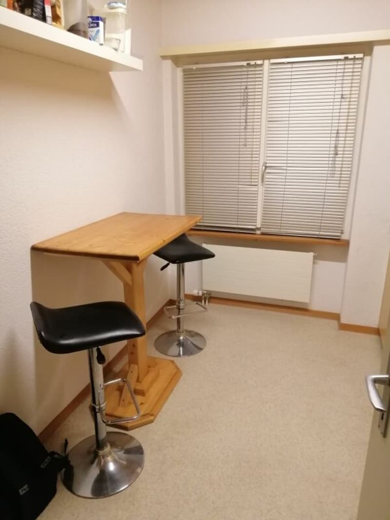 2 1/2-Zimmer-Dachwohnung im Grünen (11)