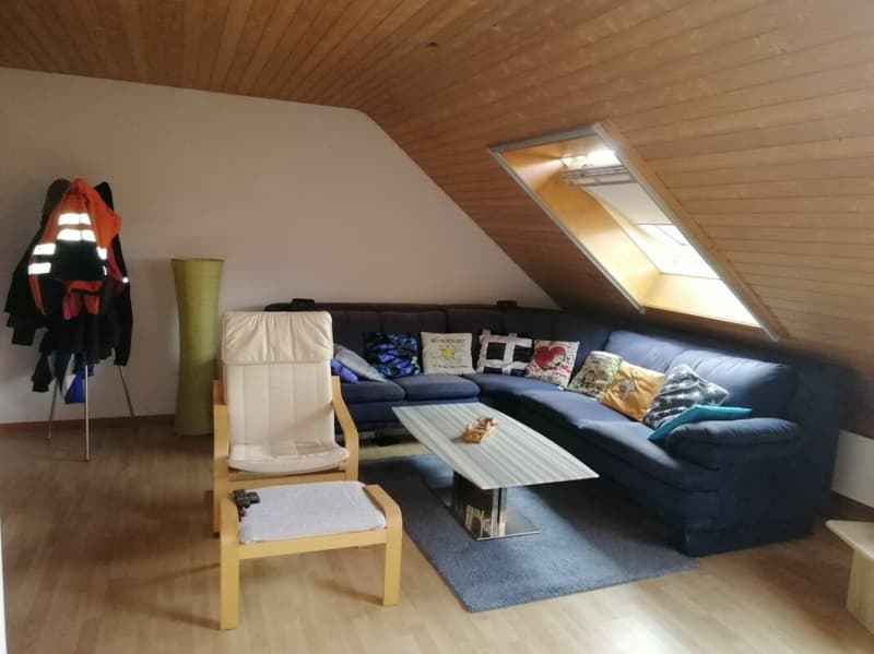 2 1/2-Zimmer-Dachwohnung im Grünen (4)