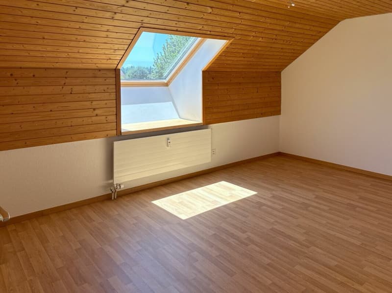 Sanierte 4 1/2-Zimmer-Dachwohnung mit Galerie (7)