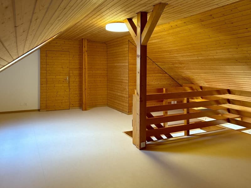 Sanierte 4 1/2-Zimmer-Dachwohnung mit Galerie (9)