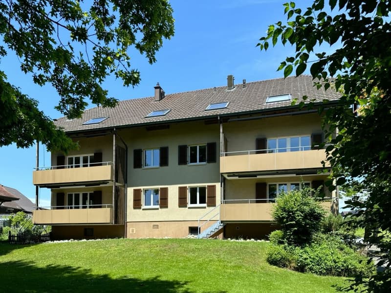 Sanierte 4 1/2-Zimmer-Dachwohnung mit Galerie (12)