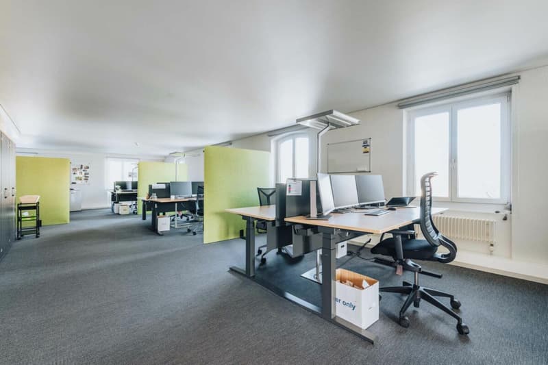 Repräsentative Gewerbeliegenschaft im Ortskern: vielseitig nutzbar und in top Zustand (11)