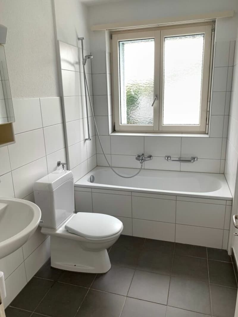 4.5-Zimmerwohnung an bevorzugter Lage am Hinterbergweg (4)