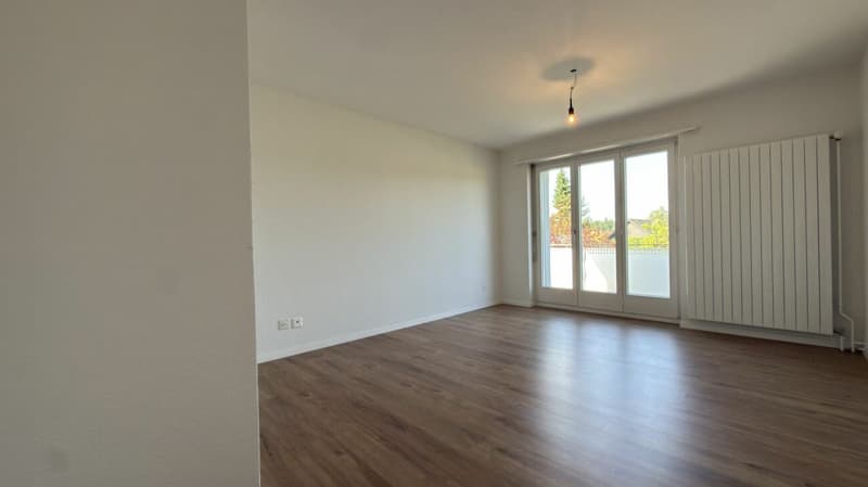 Frisch sanierte 5.5-Zimmer-Wohnung mit 2 Balkonen und traumhafter Aussicht ins Grüne (12)