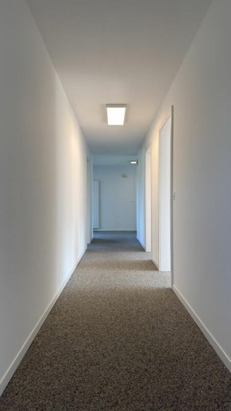 Frisch sanierte 5.5-Zimmer-Wohnung mit 2 Balkonen und traumhafter Aussicht ins Grüne (8)