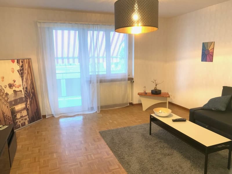 3-Zimmerwohnung in ruhigem Quartier (2)