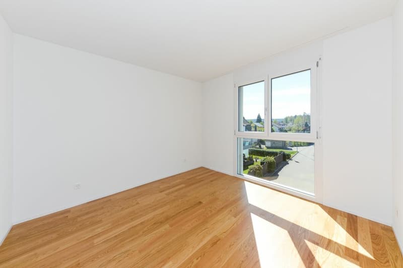 3.5 Zimmer-Wohnung mit modernem Ausbau (3)