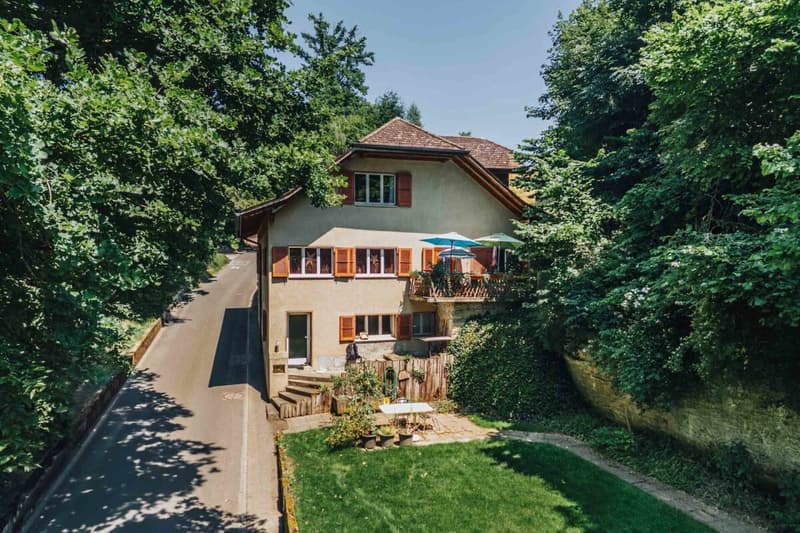 3-Parteien MFH mit viel Nebenräumen + Garagen (1)