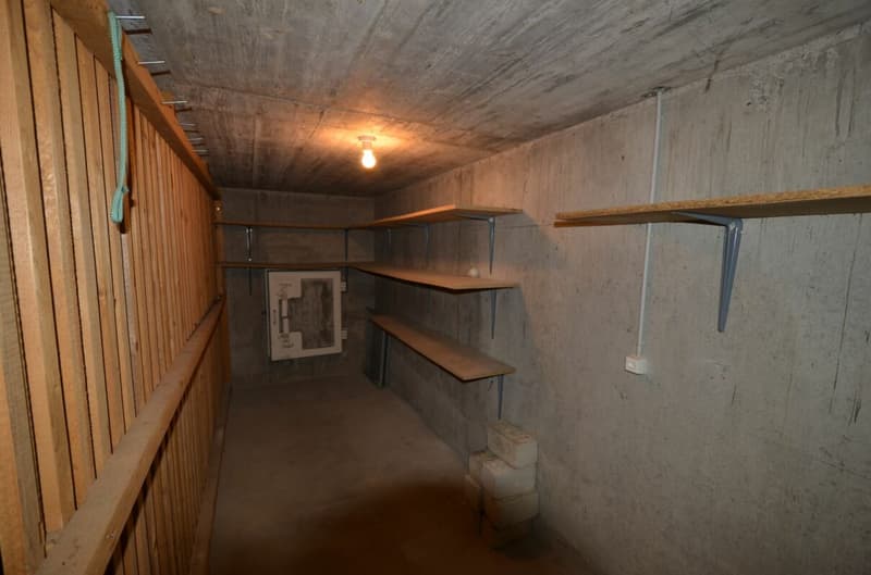 4 1/2-Zimmer-Dachwohnung mit Wintergarten (13)