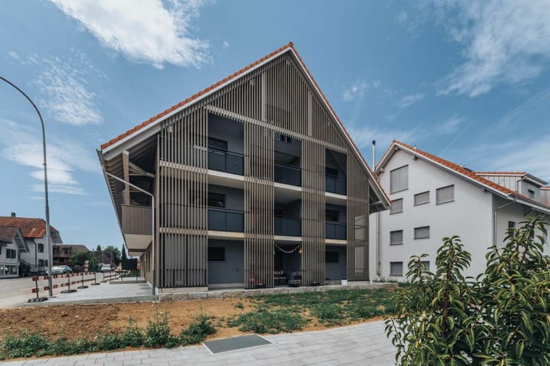 Neubau 4.5-Zimmer-Eigentumswohnung mit Galerie (3)