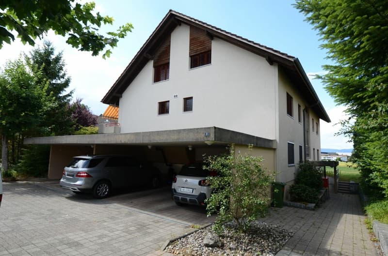 4.5 Zimmer, 160m², 1'980.- (10)