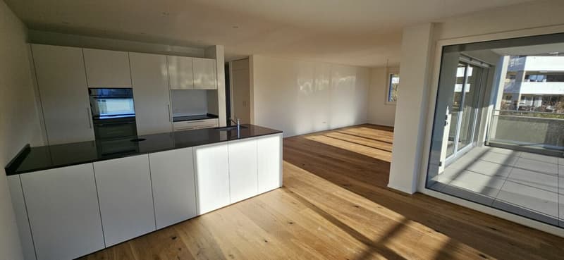 Moderne 4.5-Zimmer-Wohnung mit zwei Badezimmern, grosser Loggia und hochwertigem Ausbaustandard (3)