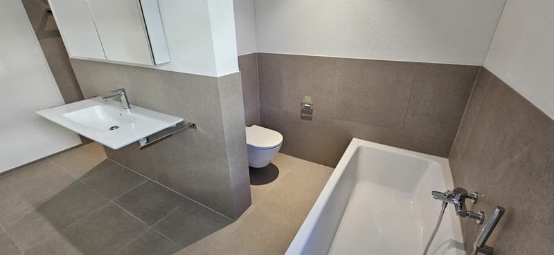 Moderne 4.5-Zimmer-Wohnung mit zwei Badezimmern, grosser Loggia und hochwertigem Ausbaustandard (10)