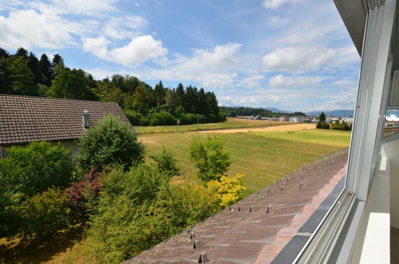 4.5 Zimmer, 160m², 1'890.- (10)