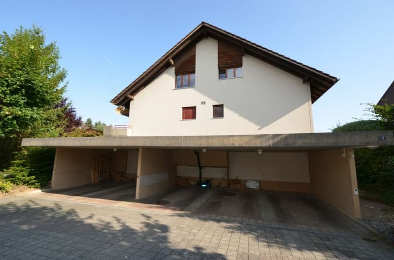 Carport und Eingang