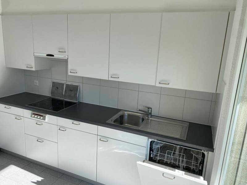 Grosszügige 4.5-Zimmer-Gartenwohnung mit gedecktem Sitzplatz (3)