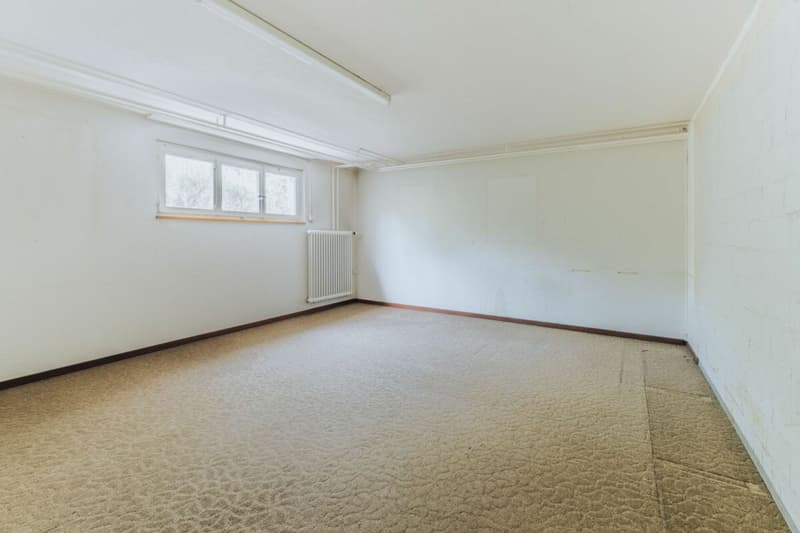 6-Zimmer-Einfamilienhaus mit Garten und vielseitigem Gestaltungspotenzial (18)