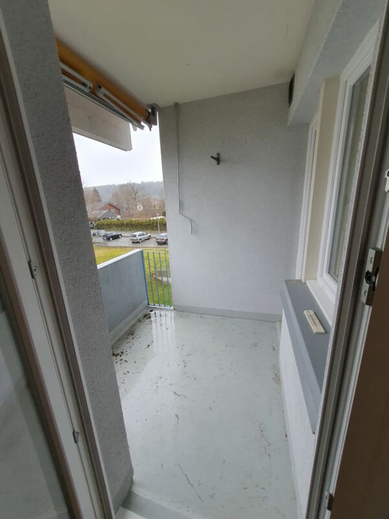 Nachmieter gesucht. (9)