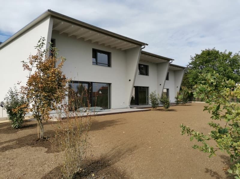 Neubau-Reiheneinfamilienhaus mit vielen Extras in Oberbipp (2)