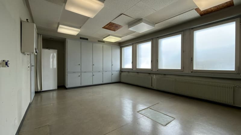 Wohnen und Arbeiten unter einem Dach: Grosszügige 11.5-Zimmer-Liegenschaft in Langenthal (16)