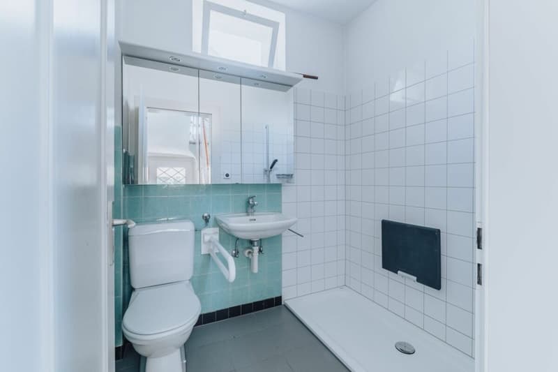 7-Zimmer Einfamilienhaus mit Garten und viel Gestaltungsspielraum (10)