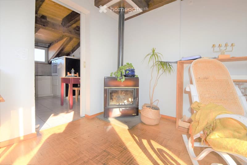 2.5-Zimmer Dachwohnung im Herzen des Breitenrainquartiers (1)